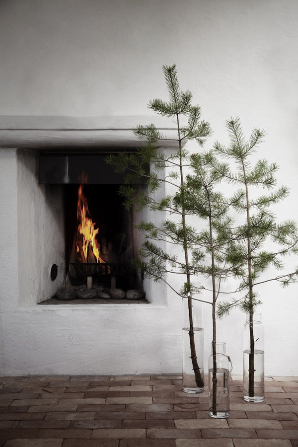 Glasvas Klarglas Ø12 H59,5cm