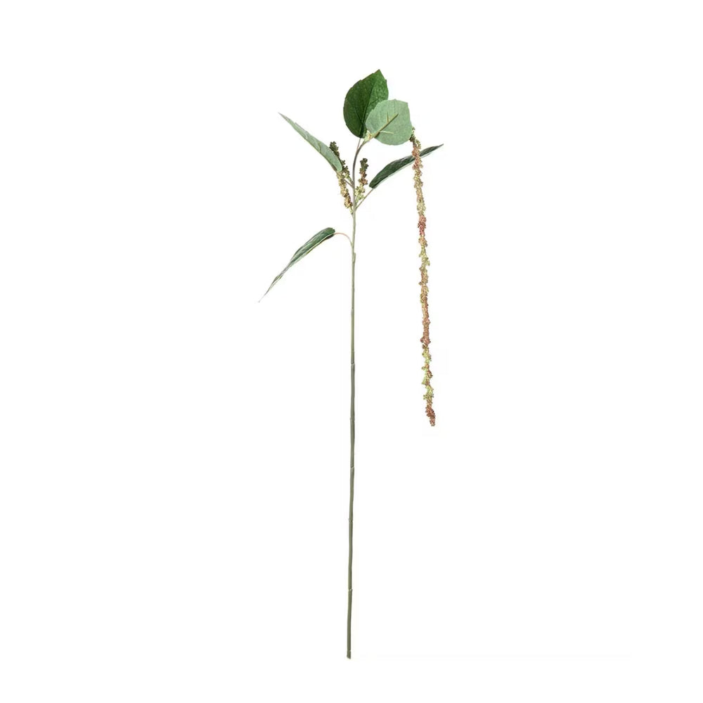Amaranthus kvist H70cm- produktbild
