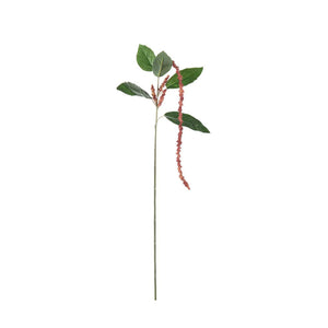 Amaranthus kvist Korall H70cm- produktbild