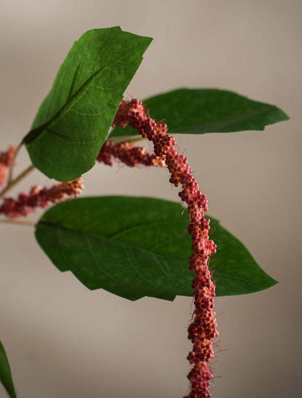 Amaranthus kvist Korall H70cm- detaljbild