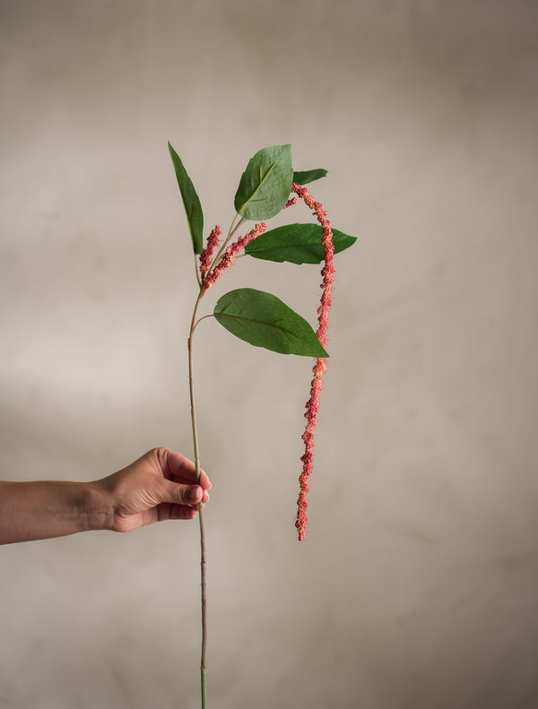 Amaranthus kvist Korall H70cm- miljöbild