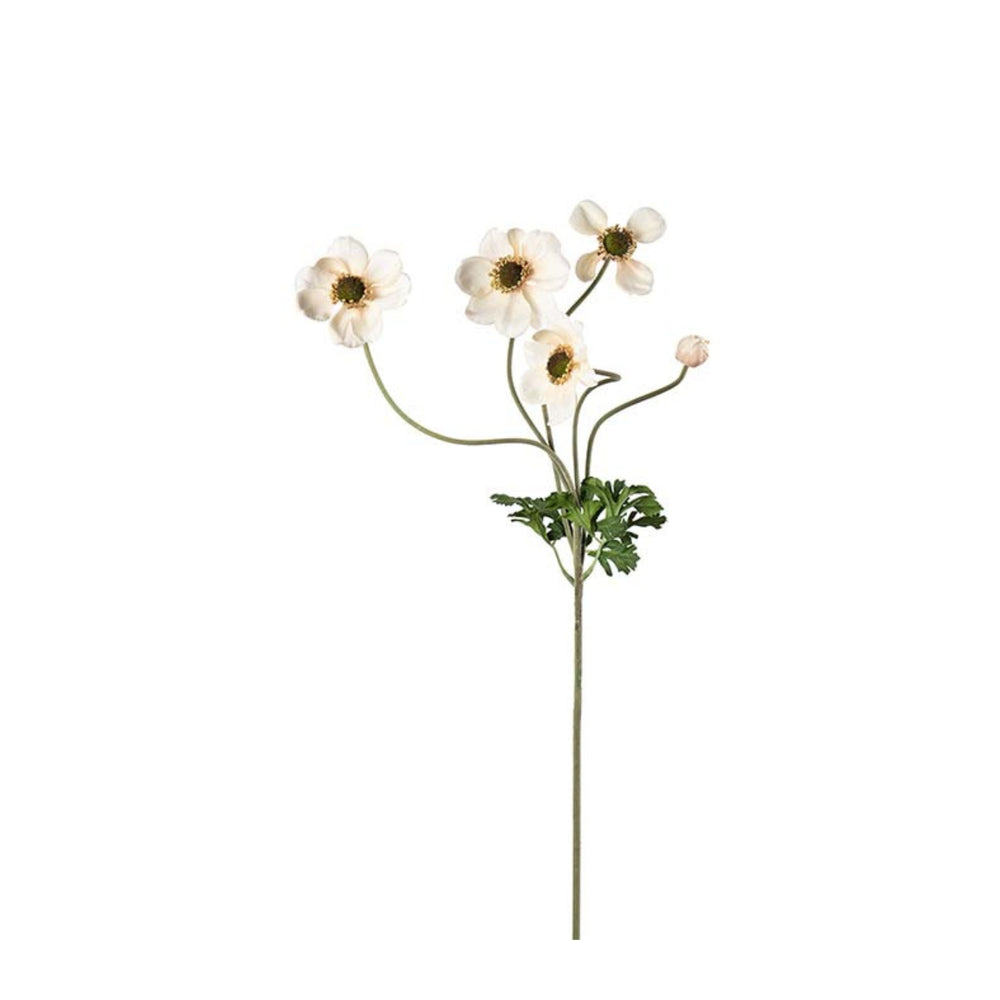 Anemon kvist H75cm Creme- produktbild