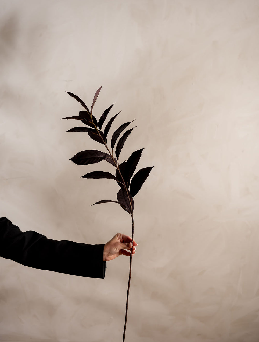 Blad kvist H100cm Burgundy- produktbild