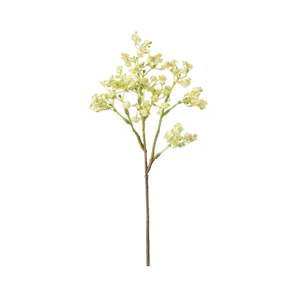 Brudslöja växt H35cm Gul- produktbild