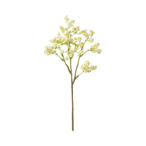 Brudslöja växt H35cm Gul- produktbild
