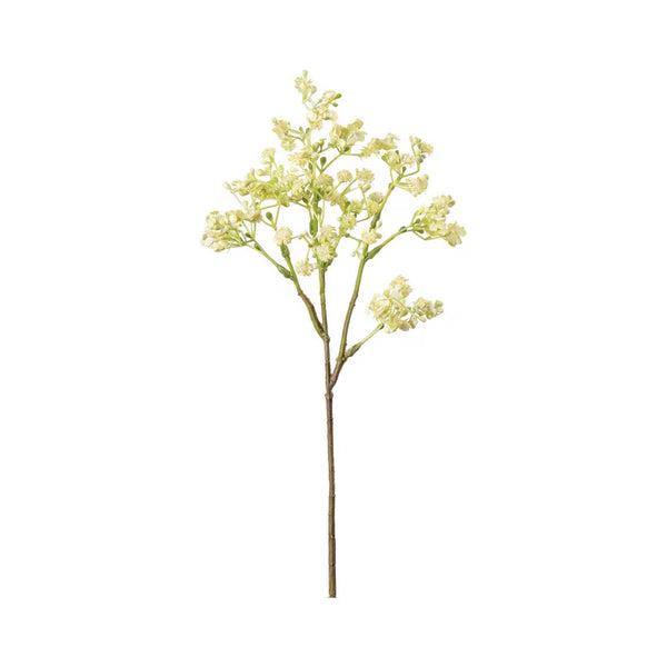 Brudslöja växt H35cm Gul- produktbild