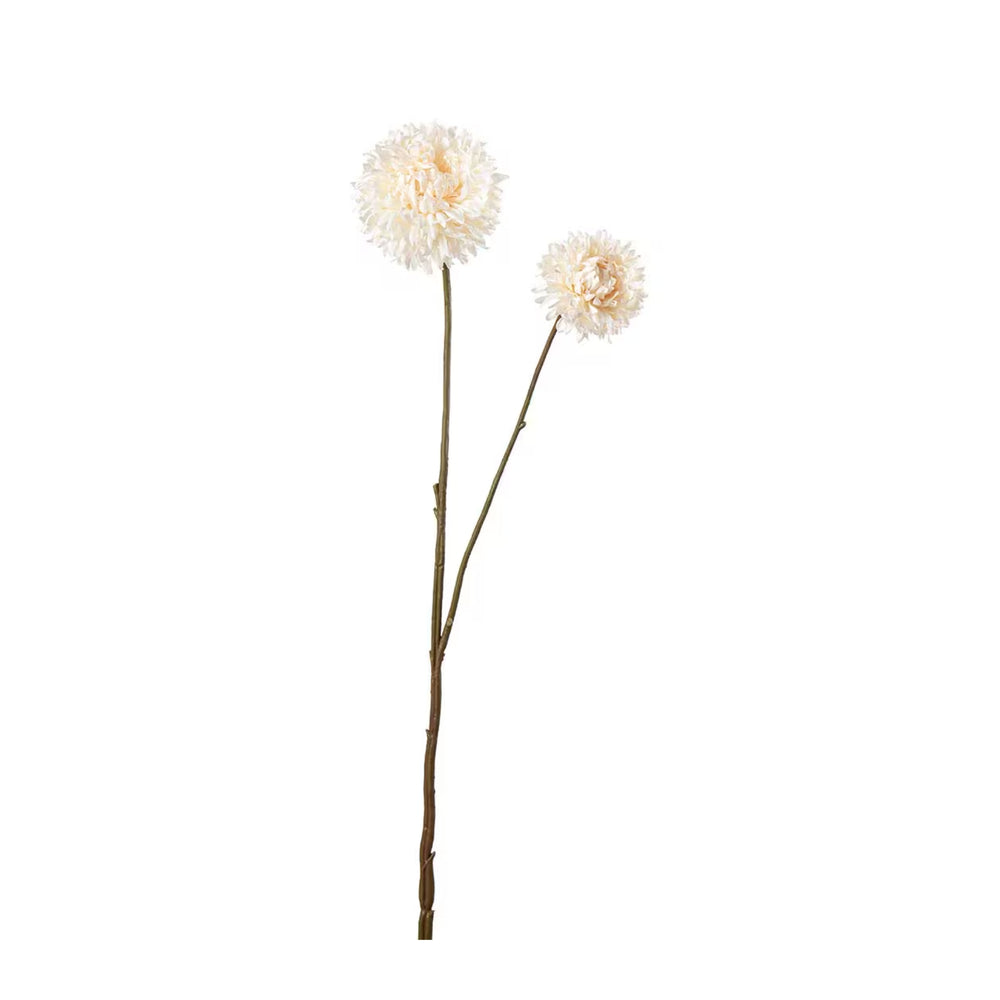 Chrysanthemum kvist H65cm Creme- produktbild