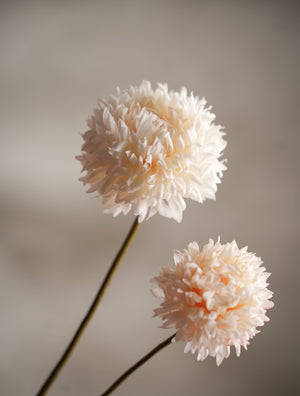 Chrysanthemum kvist H65cm Creme- detaljbild