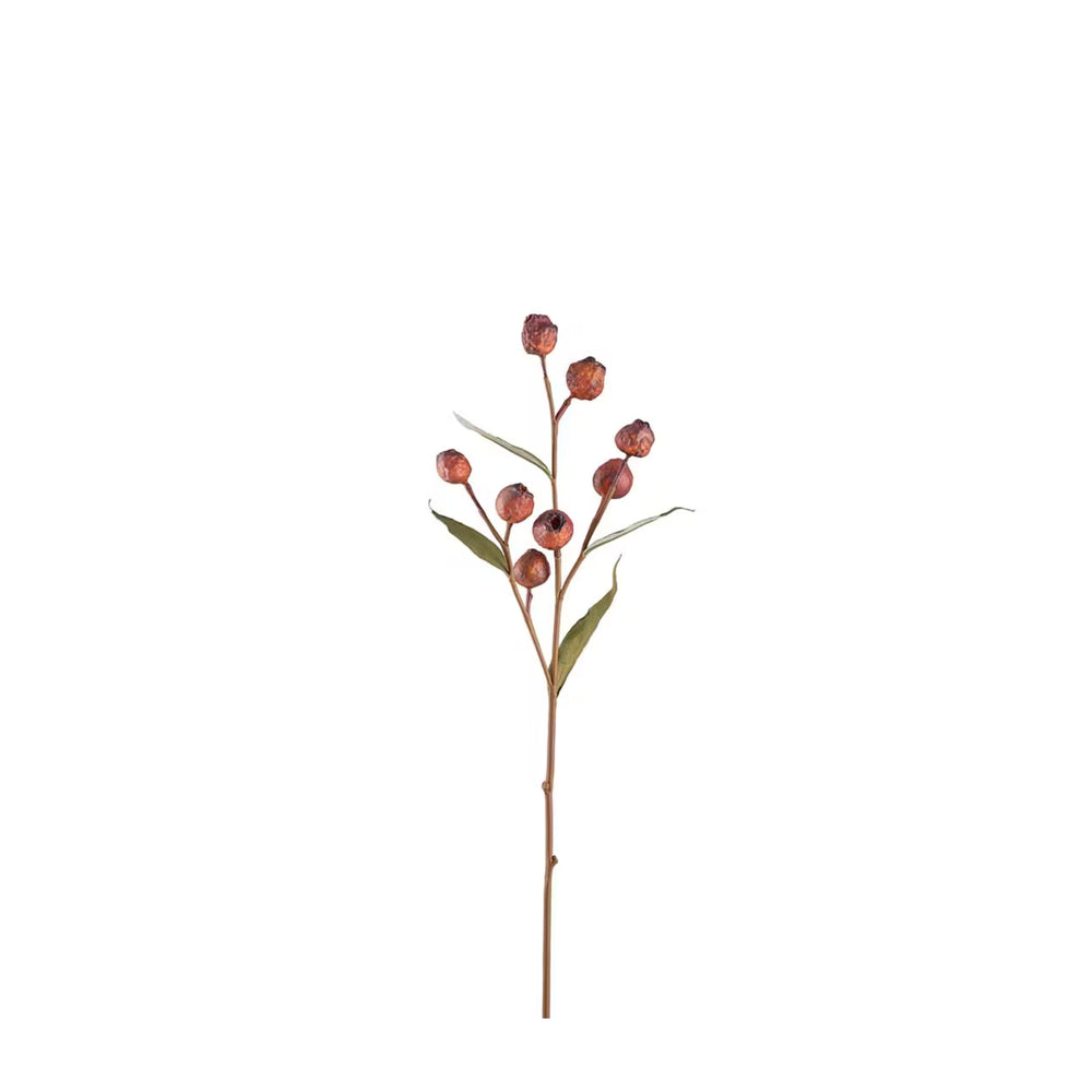 Eucalyptuskvist med bär H65cm- produktbild