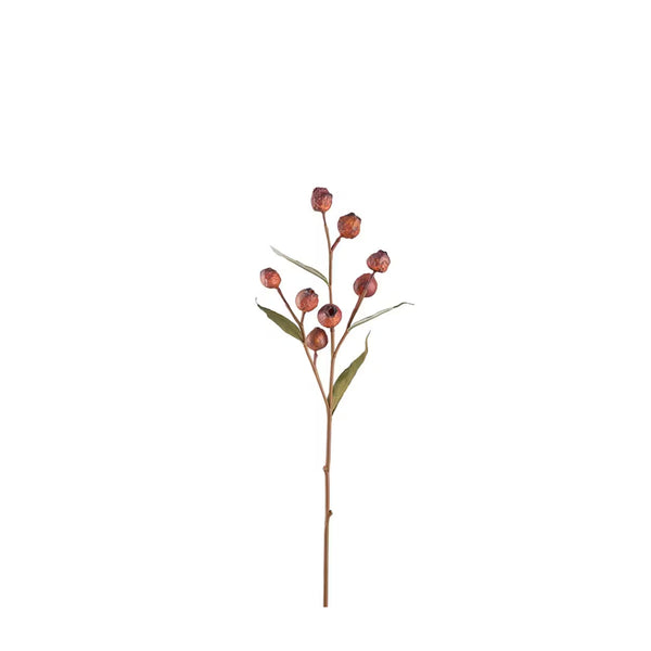 Eucalyptuskvist med bär H65cm- produktbild