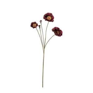 Vallmo H67cm Burgundy