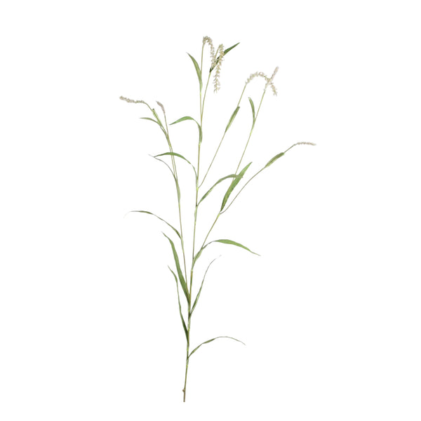 Gräs H130cm- produktbild