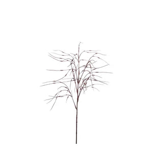 Gräs kvist H80cm- produktbild