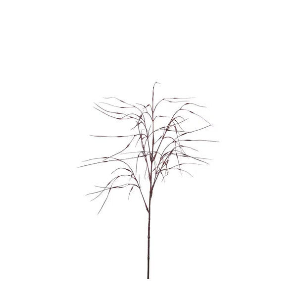 Gräs kvist H80cm- produktbild