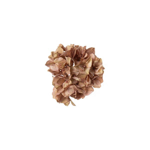 Hortensia md clips Beige- produktbild