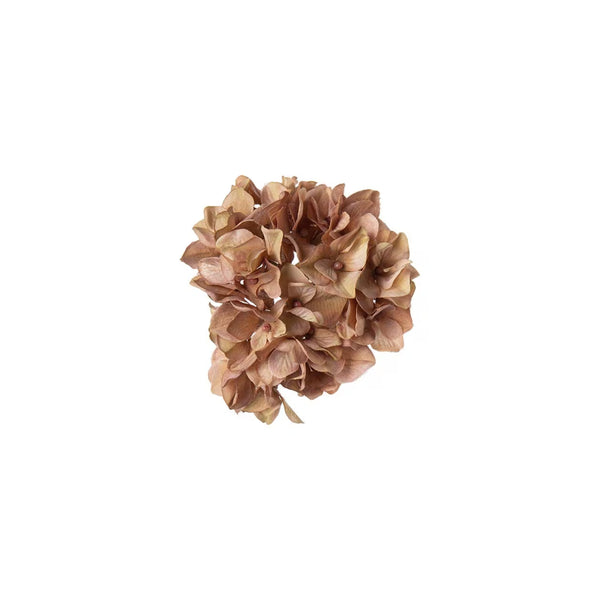 Hortensia md clips Beige- produktbild