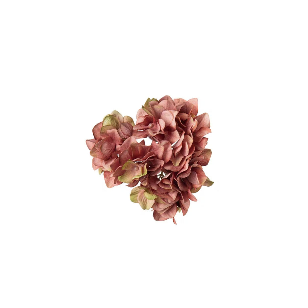Hortensia md clips Rosa- produktbild