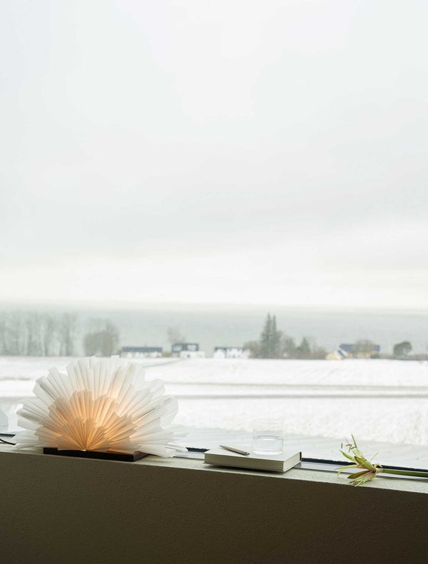 Mezza Snöblomma- miljöbild