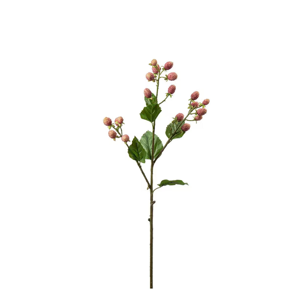 Mullbärskvist H65cm Rosa- produktbild