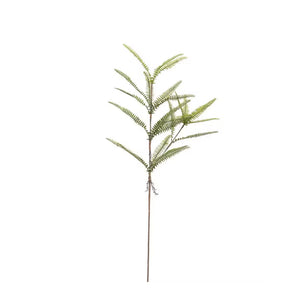 Ormbunke H95cm- produktbild