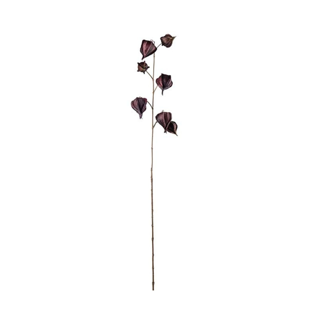 Physalis kvist H95cm Burgundy- produktbild