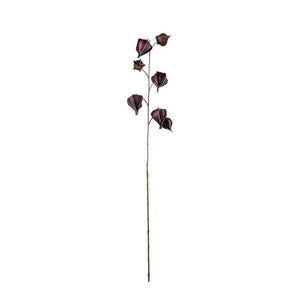 Physalis kvist H95cm Burgundy- produktbild