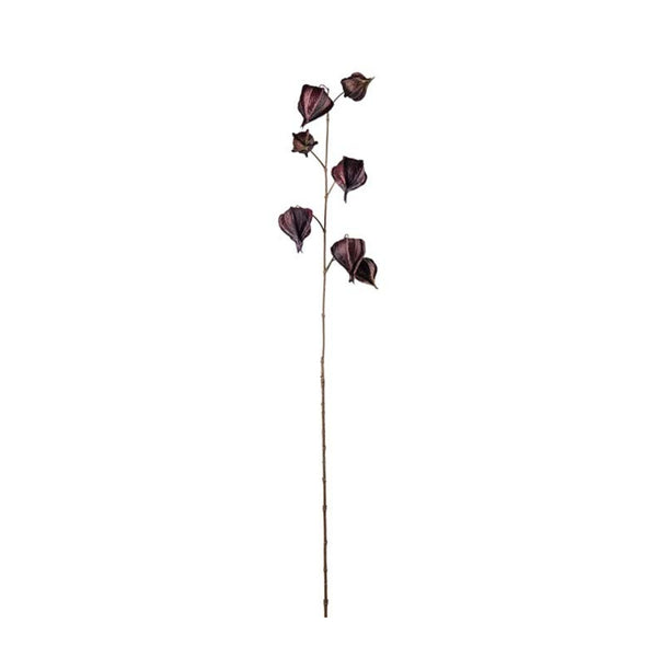 Physalis kvist H95cm Burgundy- produktbild