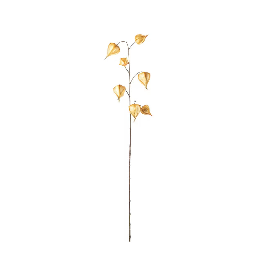 Physalis kvist H95cm Gul- produktbild