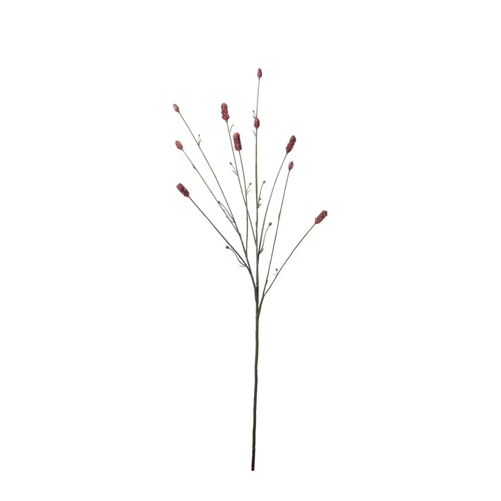 Pimpinell Burgundy H80cm- produktbild