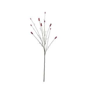 Pimpinell Burgundy H80cm- produktbild