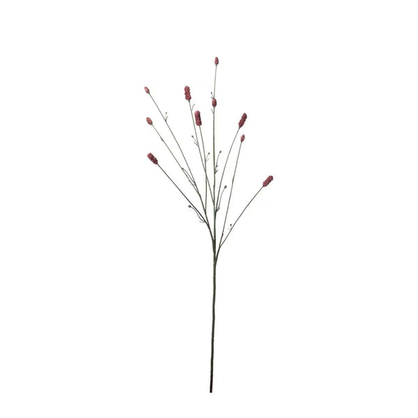 Pimpinell Burgundy H80cm- produktbild