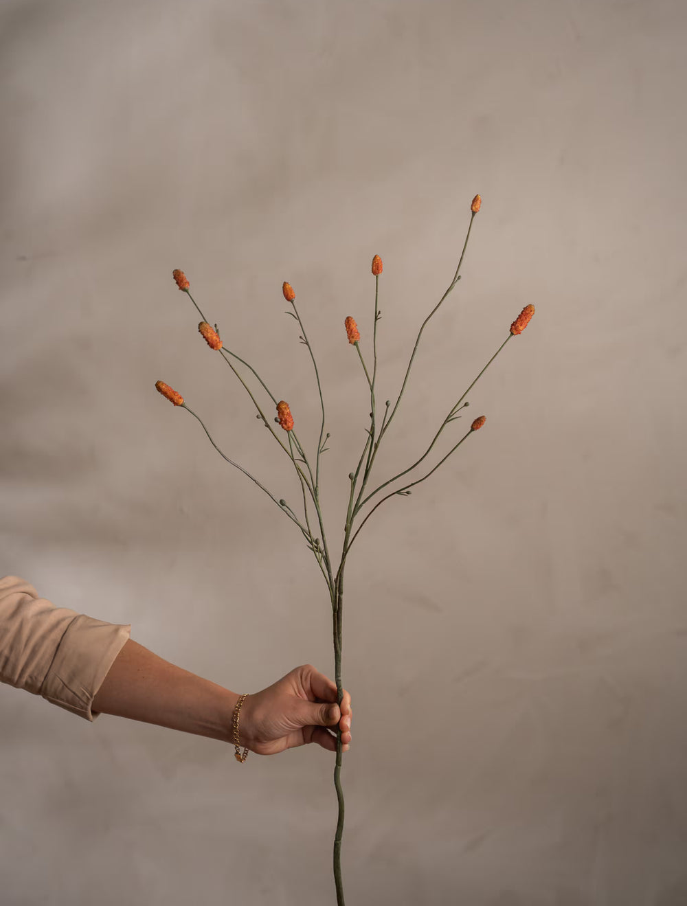 Pimpinell Orange H80cm- produktbild
