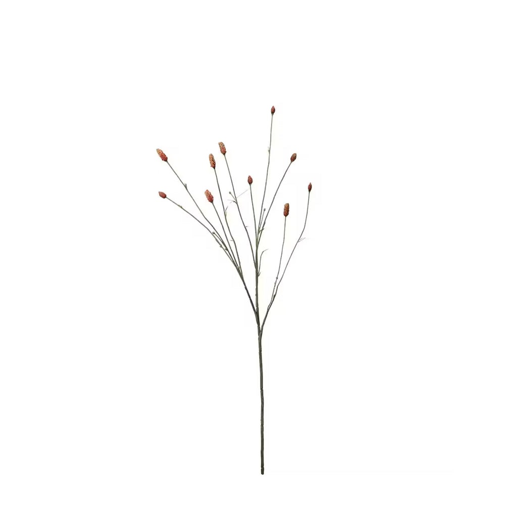 Pimpinell Orange H80cm- produktbild