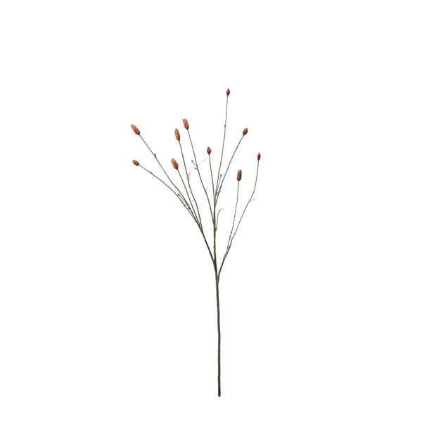 Pimpinell Orange H80cm- produktbild