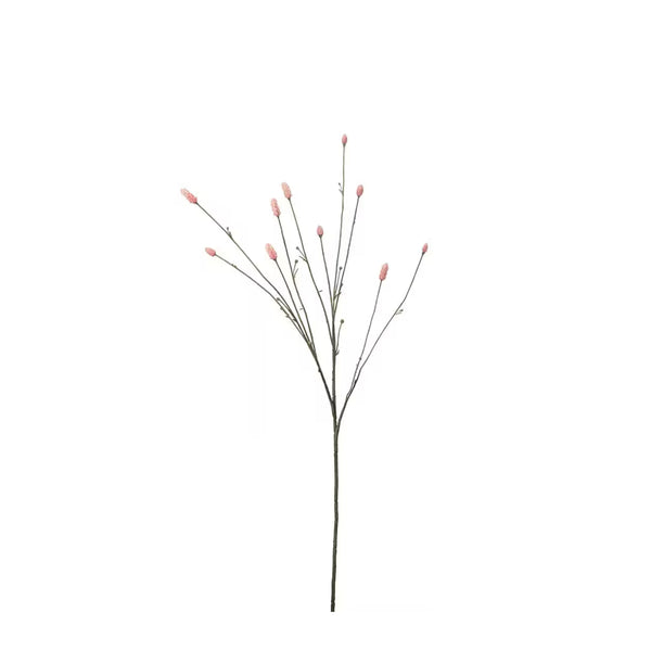 Pimpinell Rosa H80cm- produktbild