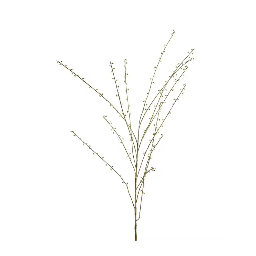 Salix Kvist H135cm Grön- produktbild