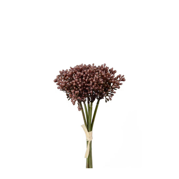 Sedumbunt H21cm- produktbild