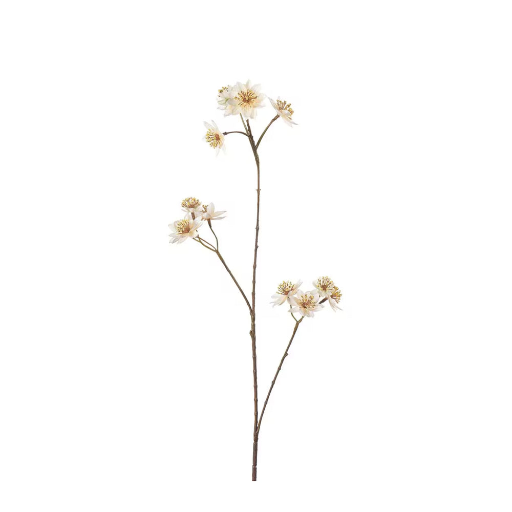 Stjärnflocka kvist H72cm Creme- produktbild