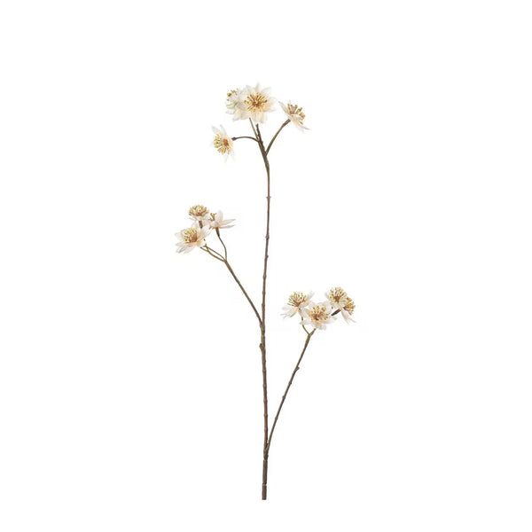 Stjärnflocka kvist H72cm Creme- produktbild