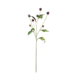 Tistel kvist H58cm- produktbild
