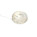 Vit rotselleri med grön topp och tunna rötter mot vit bakgrund