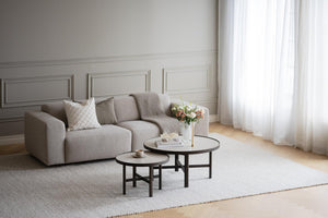 Beige soffa med kuddar och svarta soffbord på ljus matta i minimalistiskt vardagsrum med vita väggar